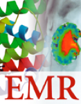 EMR
