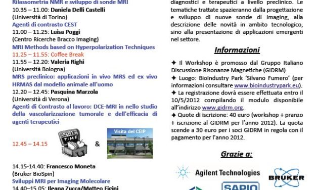 NMR and Molecular Medicine: from test tube to animal – Torino 18 Maggio 2012