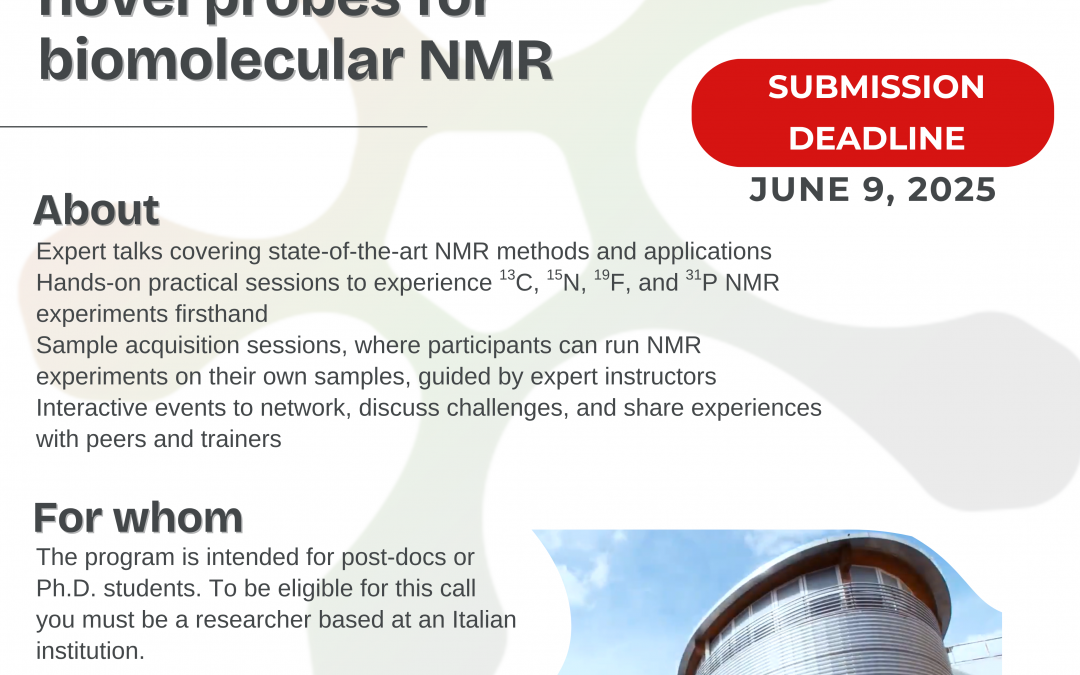 Instruct-ERIC Events: “Exploiting heteronulcei at their best: novel probes for biomolecular NMR”