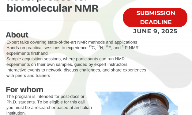Instruct-ERIC Events: “Exploiting heteronulcei at their best: novel probes for biomolecular NMR”